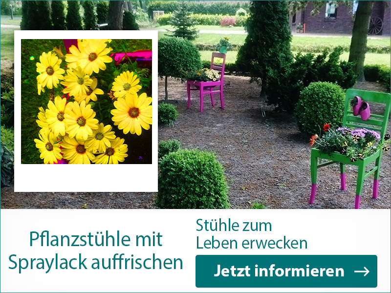 Baufix_Kachel_2021_Bepflanzter Stuhl_800x600px.jpg